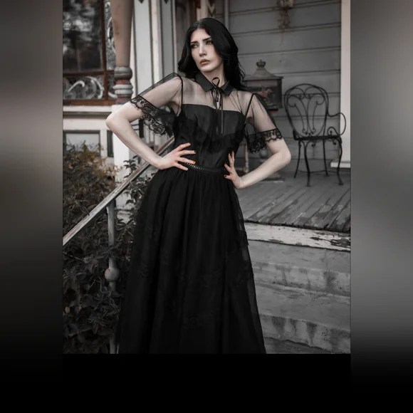 Elegant Black Sheer Dress - Picture 9 of 10